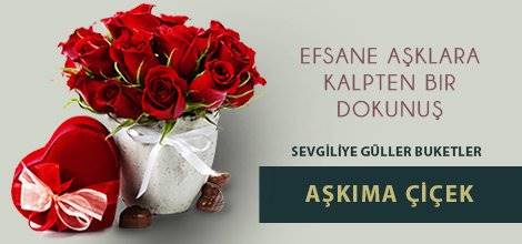 SITENIZIN
