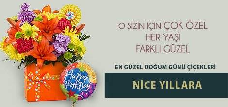 SITENIZIN